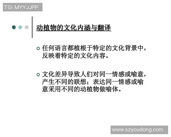 两位足球球星的英文名字翻译与文化差异分析
