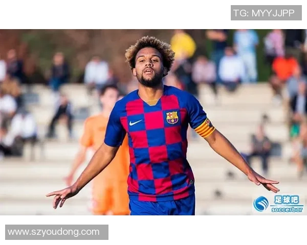 铁血豪杰球场霸主 从足球铁汉到传奇巨星的辉煌历程